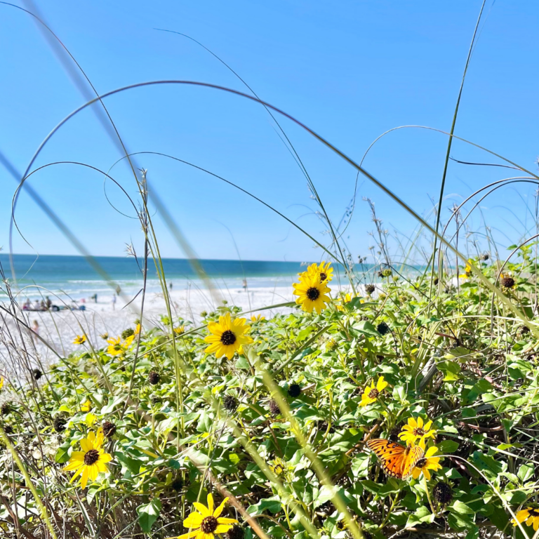 What is 30a? Only the Best String of Beach Towns in Florida