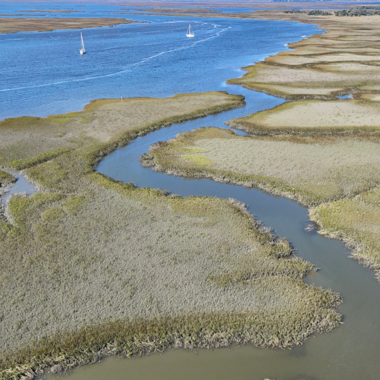 Amelia Island: Florida’s Most Southern Beach Getaway