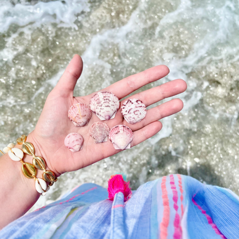 Siesta Key vs Anna Maria Island vs Longboat Key: Sarasota’s Best Barrier Islands
