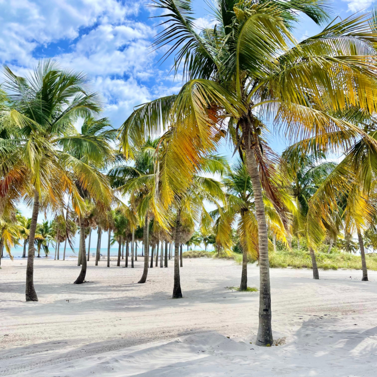 Key Biscayne vs South Beach: As Different As It Gets in Miami