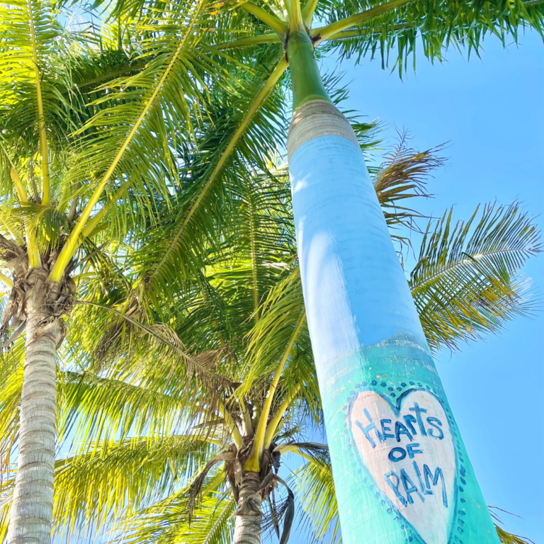 Matlacha Isles & Pine Island: A Funky Art Community in Fort Myers, FL